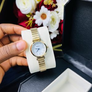 Rebirth gold circle ice dial watch