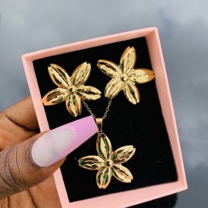 Stainless steel gold set 010