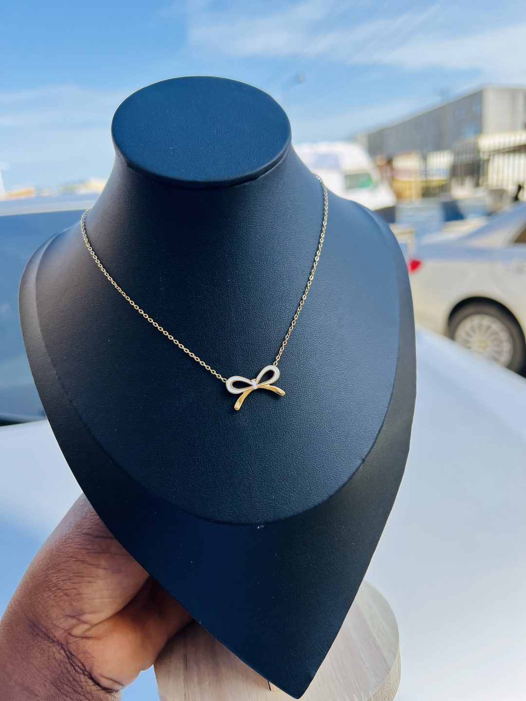 Titanium steel necklace 015