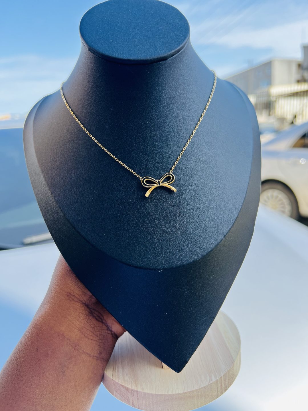 Titanium steel necklace 014