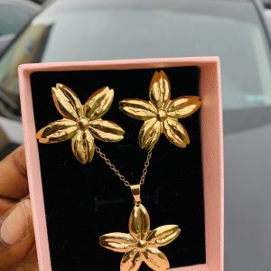 Luxury steel gold set comes with exact box 002