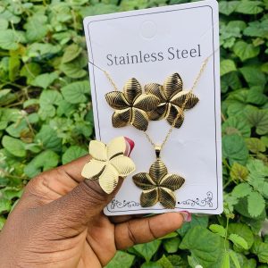 Stainless steel gold set 014