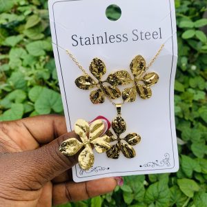 Stainless steel gold set 021