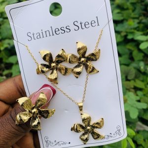 Stainless steel gold set 022