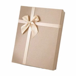 Biggest sized paper box