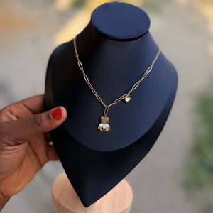 Teddy steel necklace