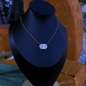 CD steel necklace