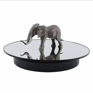 Medium sized turn table