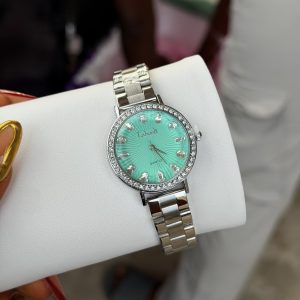 Labaoli silver stoned circle watch comes boxed