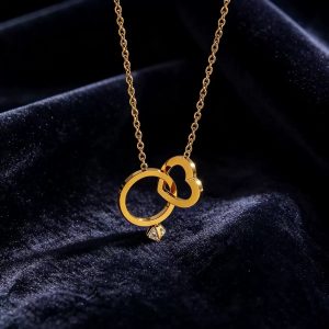 Dainty steel ring necklace
