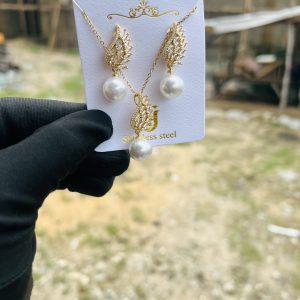 Steel necklace earring set 004