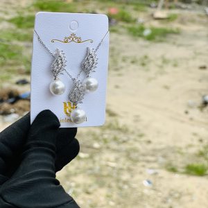 Steel necklace earring set 013
