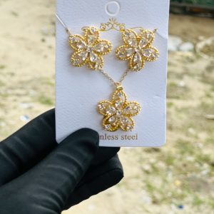 Steel necklace earring set 020