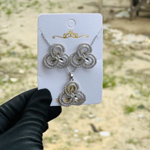 Steel necklace and earring 024