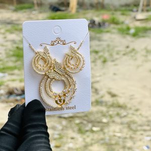 Steel necklace and Earning 027
