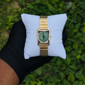 NAIDU watch 003
