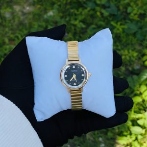 NAIDU watch 005