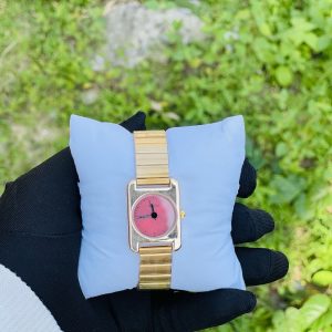 NAIDU watch 007