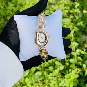 NAIDU watch 010