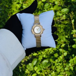 NAIDU watch 012