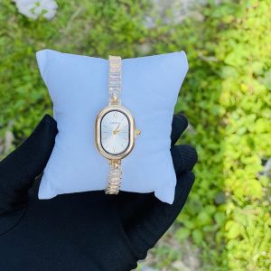 NAIDU watch 015