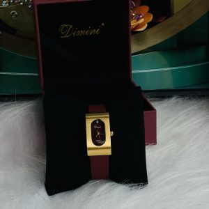 Dimini watch 008 comes boxed