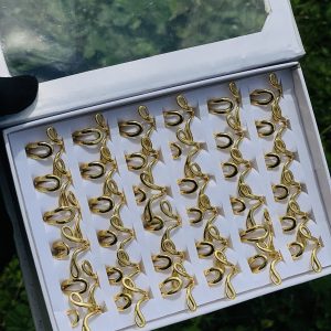 Alice steel rings 1pcs