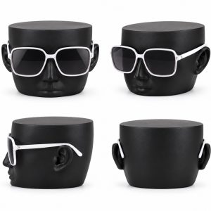 Glasses display head